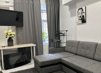 Аренда 2-комнатной квартиры, 44 м2, Санкт-Петербург, улица Союза Печатников, 17