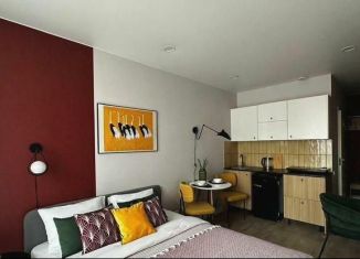 Продажа квартиры студии, 20.1 м2, Сочи, улица Чкалова, 13А