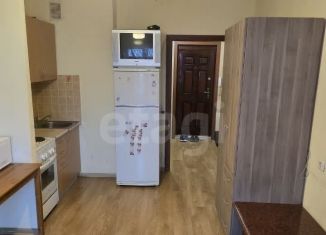 Квартира в аренду студия, 21 м2, Новосибирск, улица Тюленина, 21, метро Заельцовская