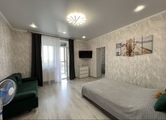 Сдается 1-ком. квартира, 41 м2, Татарстан, улица Оренбургский Тракт, 8Д