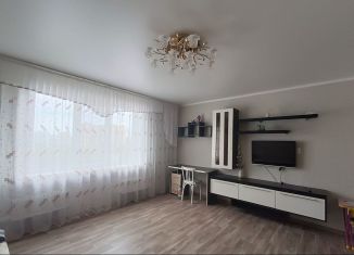 Сдается в аренду 3-комнатная квартира, 65 м2, Татарстан, проспект Мира, 61
