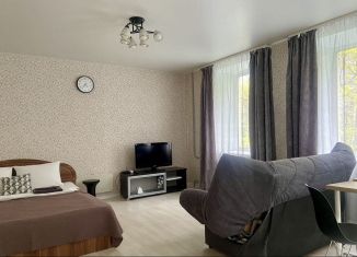 Квартира в аренду студия, 31 м2, Ярославль, улица Добрынина, 17