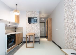 Продам квартиру студию, 23.7 м2, Новосибирск, улица Забалуева, 92