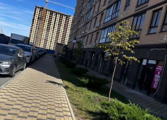 Продажа двухкомнатной квартиры, 66.4 м2, Ростов-на-Дону, Тибетская улица