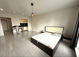 Продается квартира студия, 37.8 м2, Новосибирск, улица Виктора Шевелёва, 24