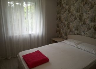 Сдается в аренду 1-комнатная квартира, 35 м2, Сочи, улица Роз, 50