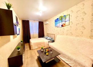 Сдаю 1-комнатную квартиру, 43 м2, Самара, улица Гастелло, 22А
