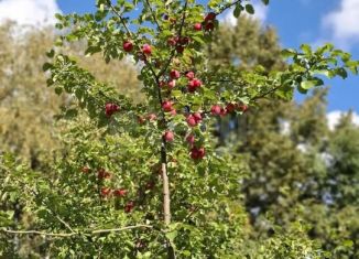 Участок на продажу, 6 сот., Пермь, Свердловский район