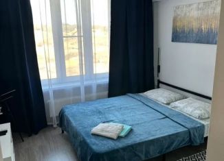Сдаю в аренду 1-ком. квартиру, 40 м2, Тула, Самоварная улица, 2