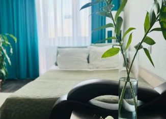 Сдам в аренду 1-ком. квартиру, 36 м2, Братск, улица Иванова, 4