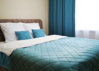 Сдается в аренду трехкомнатная квартира, 50 м2, Ростовская область, проспект Строителей, 41