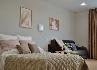 Аренда однокомнатной квартиры, 33 м2, Ярославская область, Мологская улица, 42А