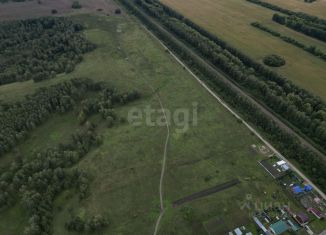 Продам земельный участок, 4000 сот., Новосибирская область