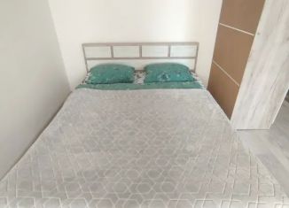 Сдам в аренду 1-комнатную квартиру, 30 м2, Уфа, Айская улица, 75/1