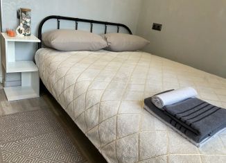 Сдам в аренду квартиру студию, 12 м2, Пермь, улица Крылова, 2, Ленинский район