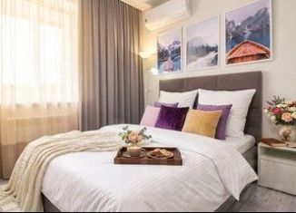 Сдается 1-ком. квартира, 38 м2, Алтайский край, Партизанская улица, 149