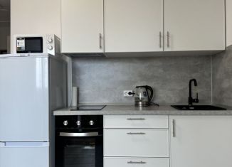 Сдается квартира студия, 24 м2, Ленинградская область