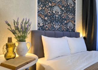 Сдается 1-ком. квартира, 15 м2, Ярославль, улица Трефолева, 13, Кировский район