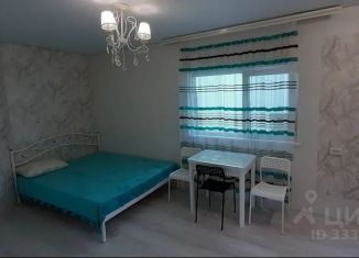 Сдам в аренду квартиру студию, 25 м2, поселок городского типа Береговое