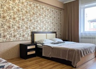 Сдам в аренду 1-комнатную квартиру, 40 м2, Иркутская область, улица Ядринцева, 33