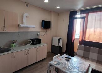 Сдаю в аренду 1-ком. квартиру, 28 м2, Самара, Корабельная улица, 10, метро Спортивная