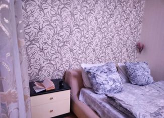 Сдача в аренду 1-комнатной квартиры, 45 м2, Воронежская область, улица Челюскинцев, 101Б
