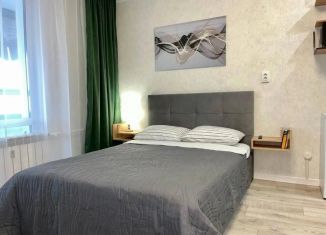 Сдача в аренду однокомнатной квартиры, 30 м2, Татарстан, проспект Строителей, 70