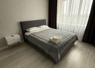 Сдается в аренду однокомнатная квартира, 38 м2, Ростов-на-Дону, Береговая улица, 117Бс8