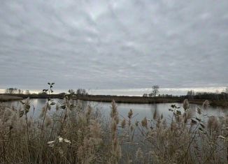 Продается участок, 1500 сот., Новосибирская область