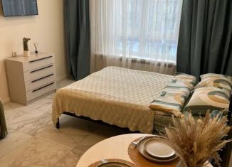 Сдам в аренду квартиру студию, 24 м2, Карелия, Советская улица, 5