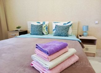 Сдается 1-ком. квартира, 54 м2, Самарская область, улица Карбышева, 61А