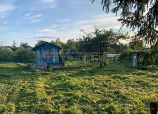 Продается дача, 20 м2, деревня Радкевщина