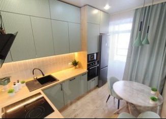 Однокомнатная квартира в аренду, 30 м2, Омская область, улица А.Н. Кабанова, 2