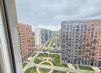 Продается квартира студия, 25.5 м2, село Остафьево