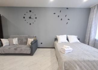 Сдаю в аренду квартиру студию, 36 м2, Иркутская область, улица Маршала Конева, 16