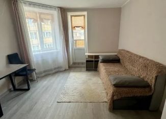Аренда квартиры студии, 21 м2, Ленинградская область, Школьная улица, 11к2
