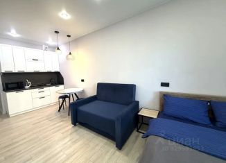 Квартира в аренду студия, 40 м2, Иркутская область, улица Якоби, 8