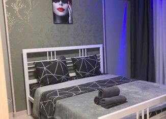 Сдается однокомнатная квартира, 40 м2, Челябинск, улица Первой Пятилетки, 17А