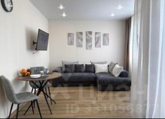 Сдам в аренду 1-комнатную квартиру, 30 м2, Тюмень, Калининский округ
