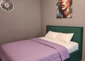 Аренда квартиры студии, 51 м2, Пермский край, улица Куйбышева, 135