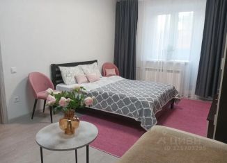 Сдам в аренду 1-ком. квартиру, 45 м2, Ярославская область, улица Карла Либкнехта, 19