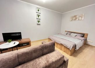 Сдается квартира студия, 30 м2, Пермь, улица Ленина, 72А, Ленинский район