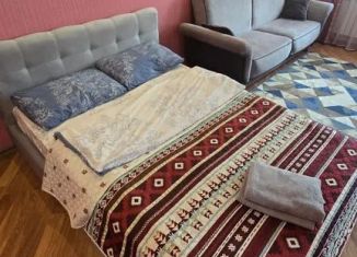 Сдача в аренду квартиры студии, 33 м2, Барнаул, улица Димитрова, 62/52, Октябрьский район
