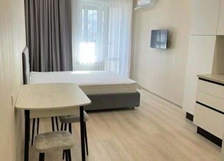 Сдача в аренду 1-ком. квартиры, 27 м2, Татарстан, улица Александра Курынова, 4