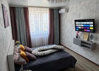 Сдача в аренду однокомнатной квартиры, 45 м2, Самара, Московское шоссе, 29, Октябрьский район