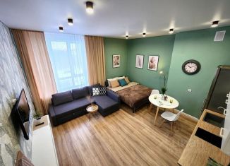 Сдается квартира студия, 30 м2, Уфа, бульвар Давлеткильдеева, 5, Октябрьский район