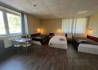 Сдача в аренду комнаты, 28 м2, Ленинградская область