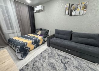 1-ком. квартира в аренду, 30 м2, Татарстан, улица Александра Курынова, 4