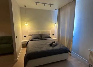 Сдается квартира студия, 39 м2, Пермь, Пермская улица, 2