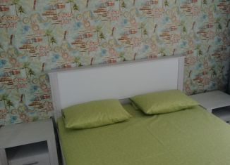 Сдаю в аренду 2-ком. квартиру, 69 м2, Самарская область, Молодёжная улица, 13
